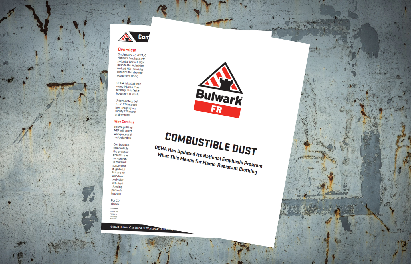 Combustible Dust Whitepaper